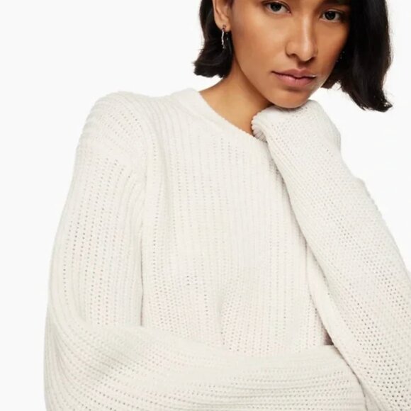 Aritzia Sweaters - Aritzia Wilfred Crew Neck Rib Knit Oversized Sweater